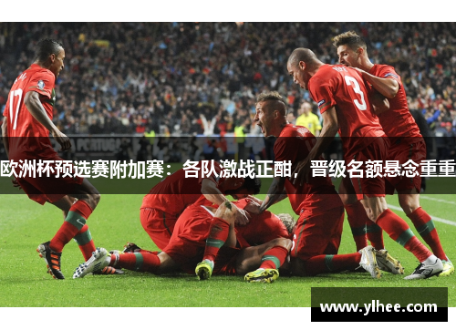 欧洲杯预选赛附加赛：各队激战正酣，晋级名额悬念重重