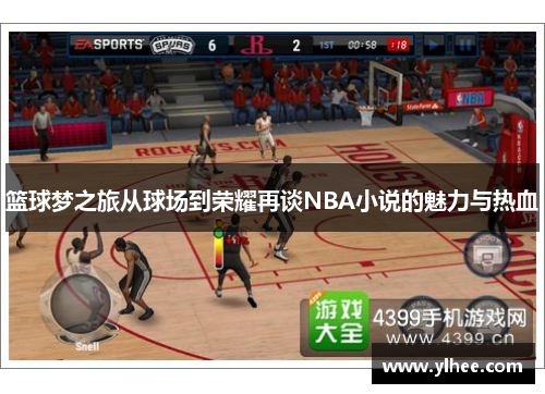 篮球梦之旅从球场到荣耀再谈NBA小说的魅力与热血