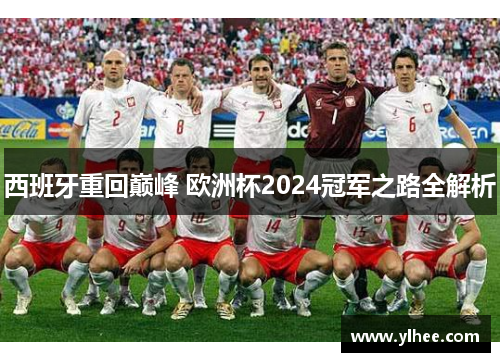 西班牙重回巅峰 欧洲杯2024冠军之路全解析