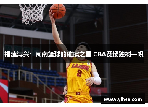 福建浔兴：闽南篮球的璀璨之星 CBA赛场独树一帜