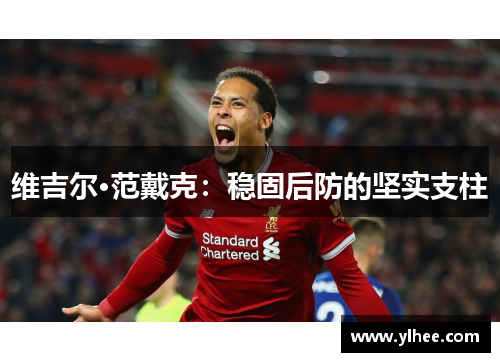 维吉尔·范戴克：稳固后防的坚实支柱