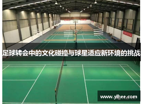 足球转会中的文化碰撞与球星适应新环境的挑战 足球转会中的文化碰撞与球星适应新环境的挑战